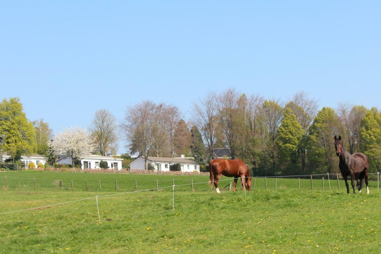 Domein Hellebeuk Met Uitzicht! Valkenburg/Klimmen Екстер'єр фото